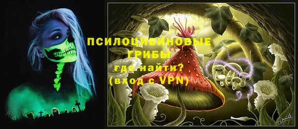 стаф Абдулино