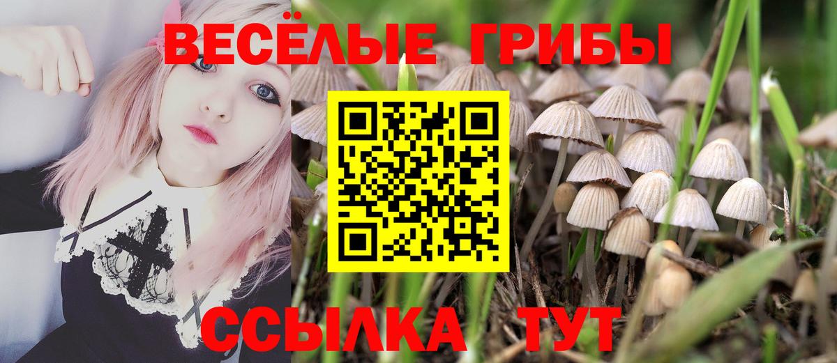 Алапаевск  Псилоцибиновые грибы мухоморы  Вход с VPN 