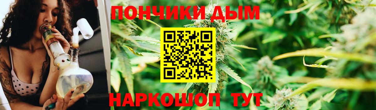 Бошки марихуана семена  Конопля план  Марихуана гибрид  Конопля конопля  Алапаевск  Вход с VPN 